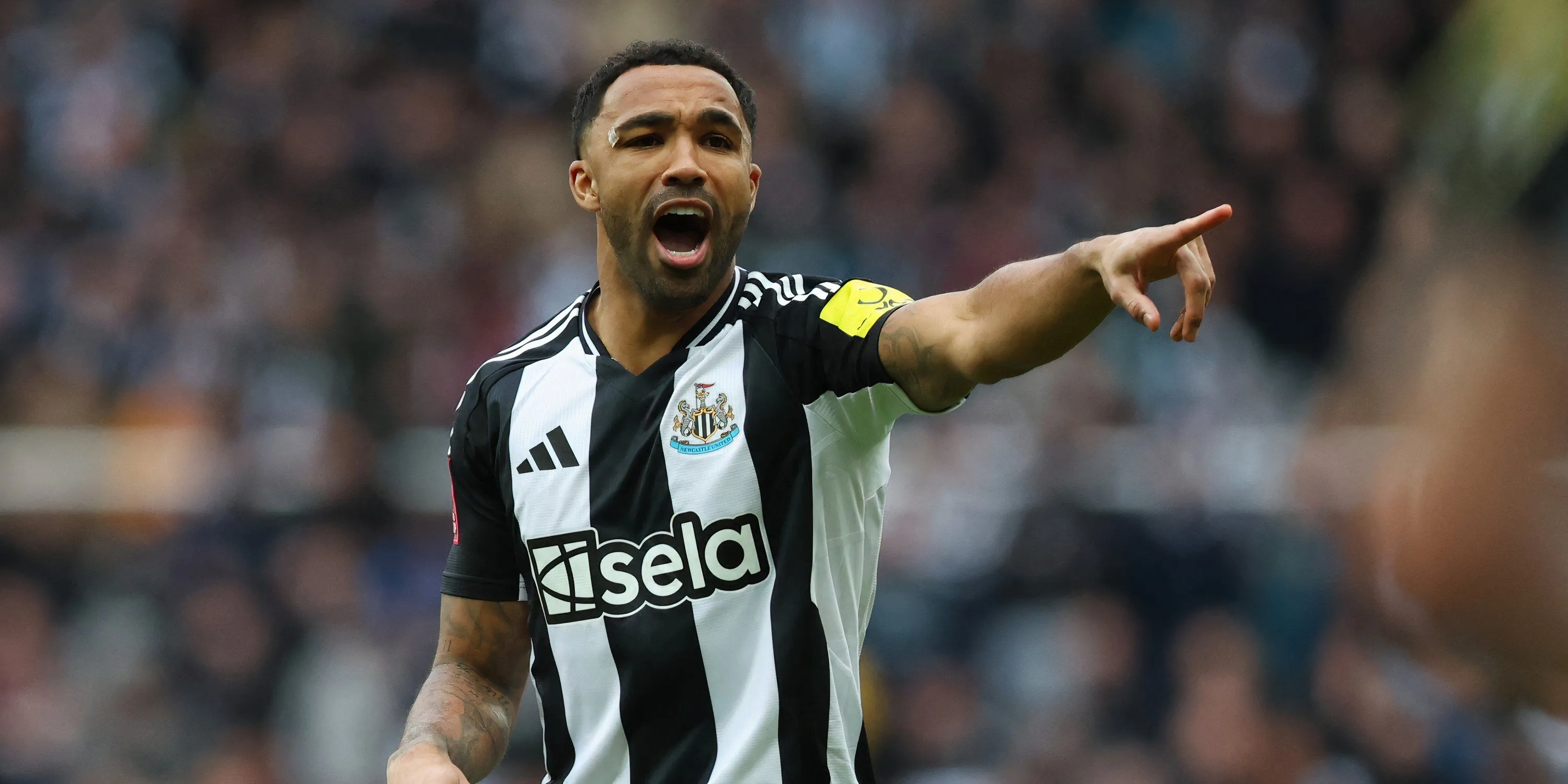 Tiền đạo Callum Wilson của Newcastle United.