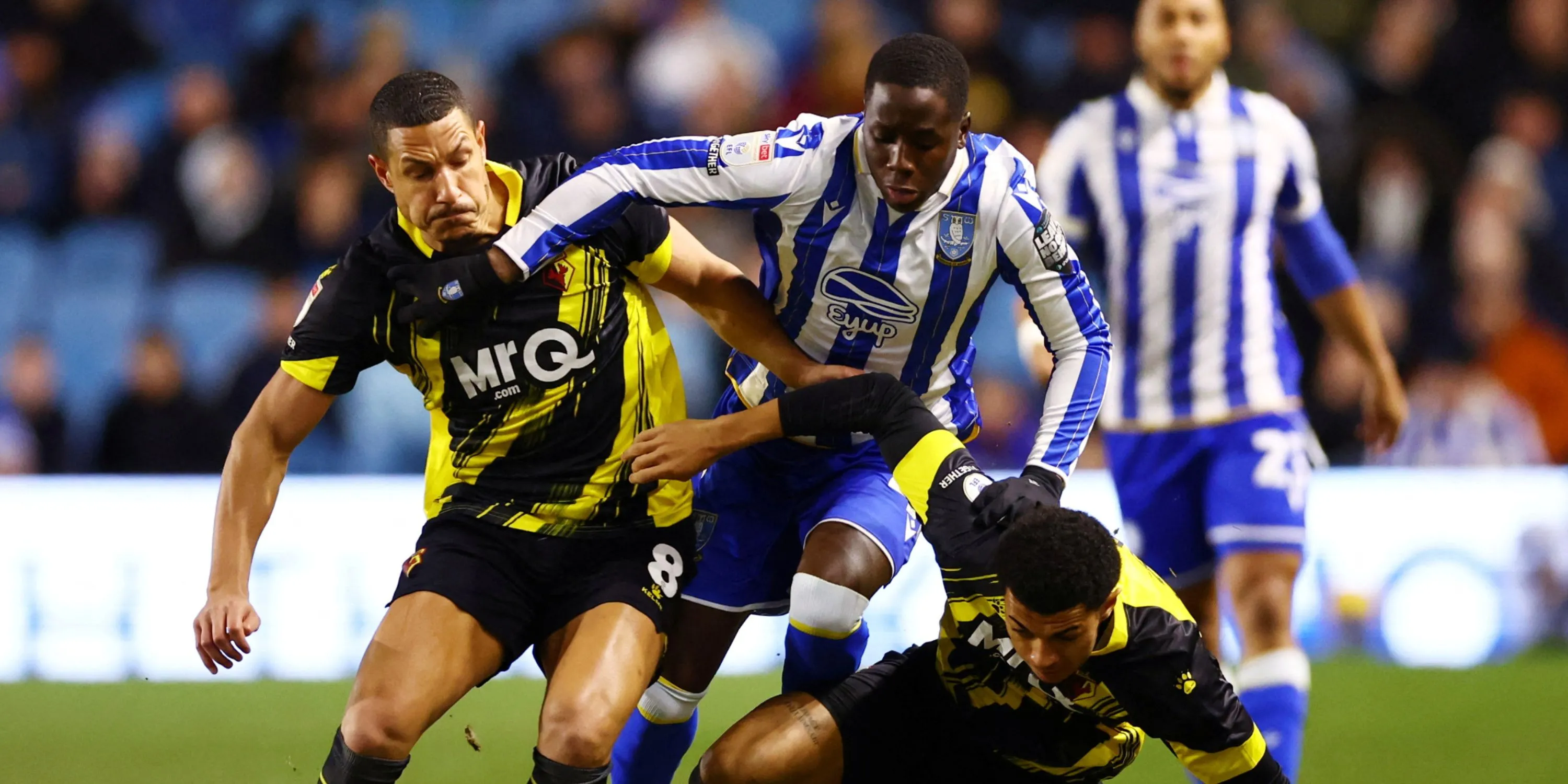 Djeidi Gassama trong màu áo Sheffield Wednesday tại Championship