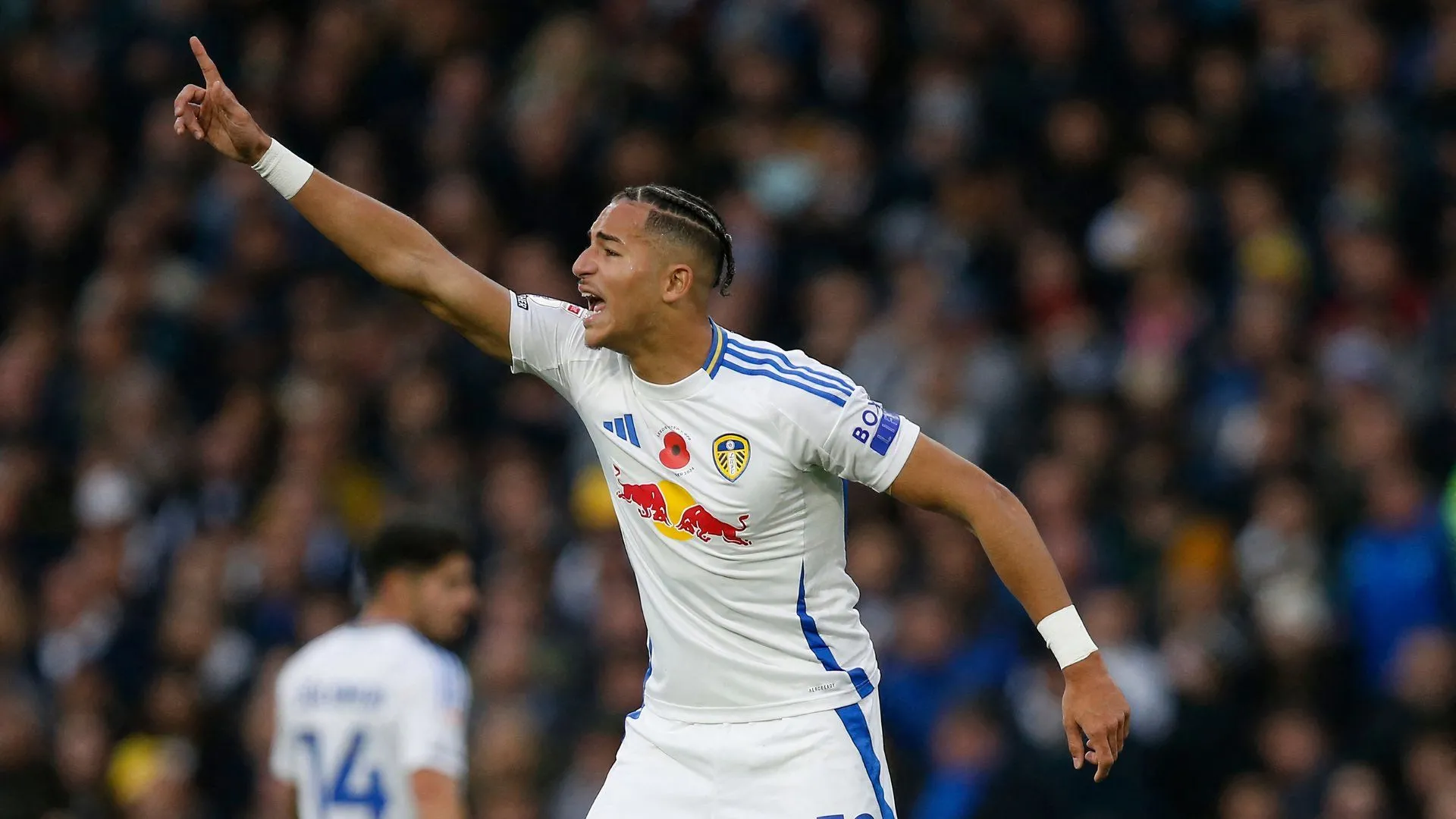 Tiền đạo trẻ Mateo Joseph của Leeds United trong trận đấu với QPR